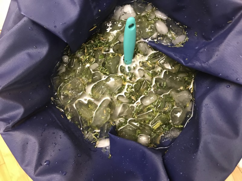 C5DBD9C3-F83D-419A-A003-9889D2F5D65D