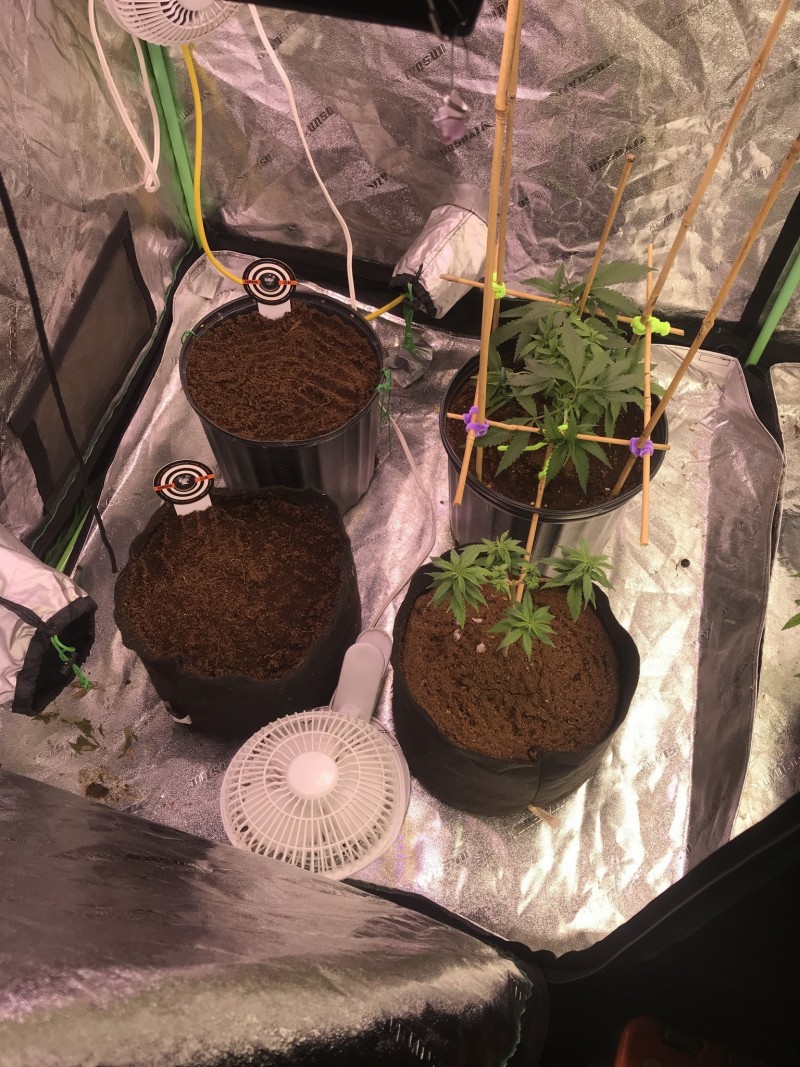 BC3D3CFB-9FB4-4D1B-AE04-BFB1FE36715B