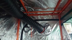 16314829345804119779138193772798