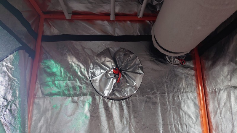 16314829888844942362487247274861