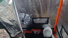 16314830127024803757408282926245