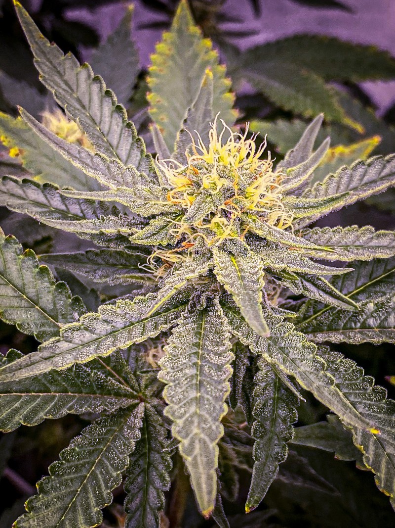 FE4F9F9F-9E26-4248-8777-15A16C170981