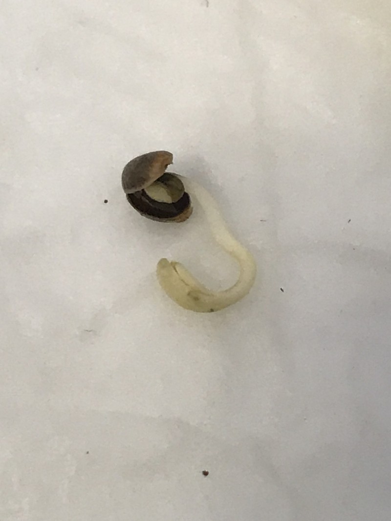 1F4D898A-9EDB-4053-A7A9-7DFCA868DC2C