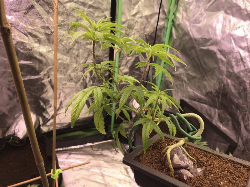 7357867D-04B6-4415-8E6B-D6B607D59141