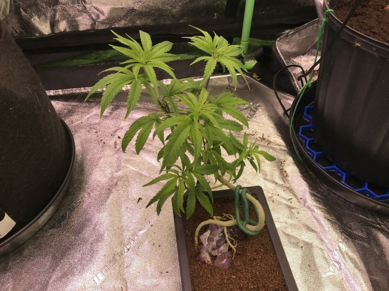 A9914E14-DB63-48E2-A43B-2E922F711516