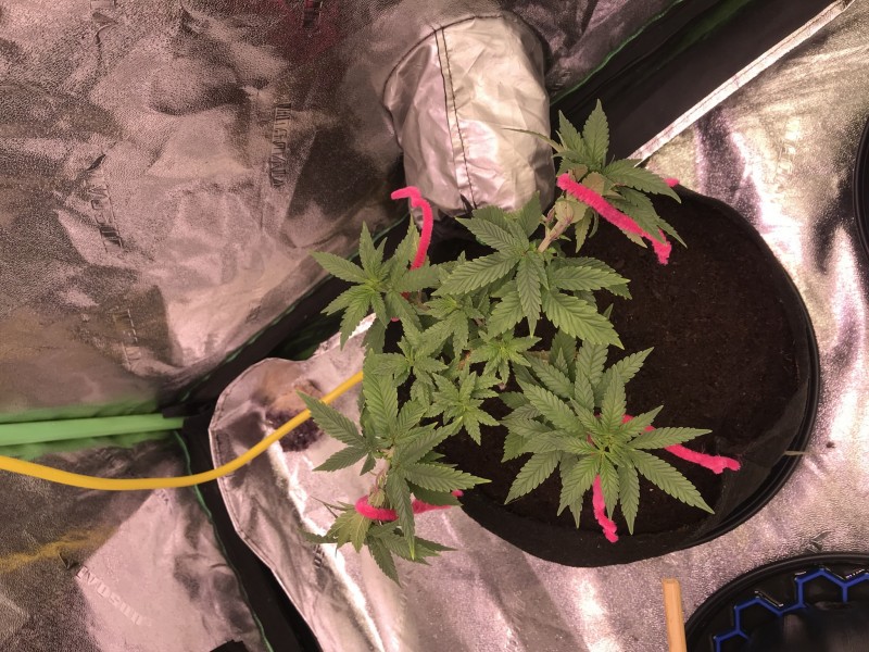 DF1F4B00-BA72-4663-B289-D0061848208D