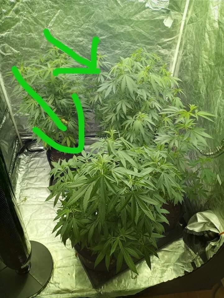 BF075091-C897-4F5C-BA33-1681AAC45251