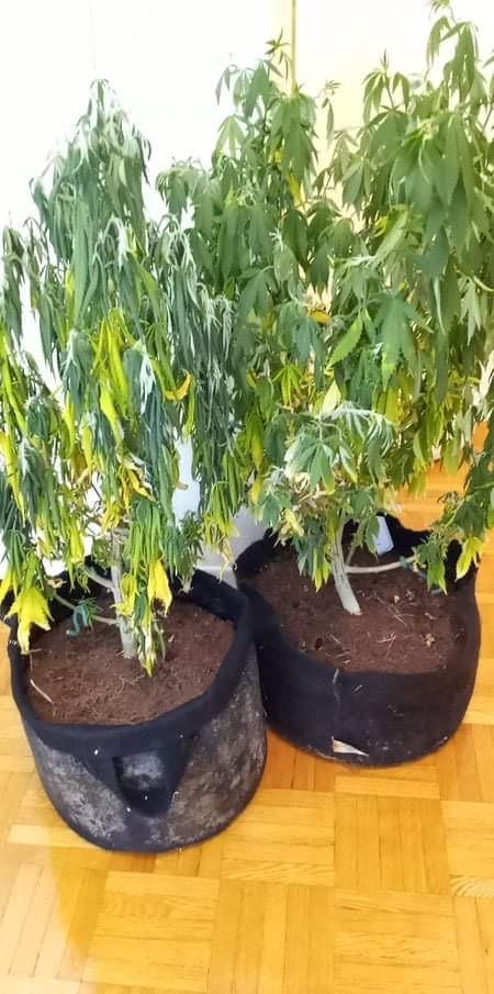 3673A90A-F418-4F36-A677-7558C1B5A53C