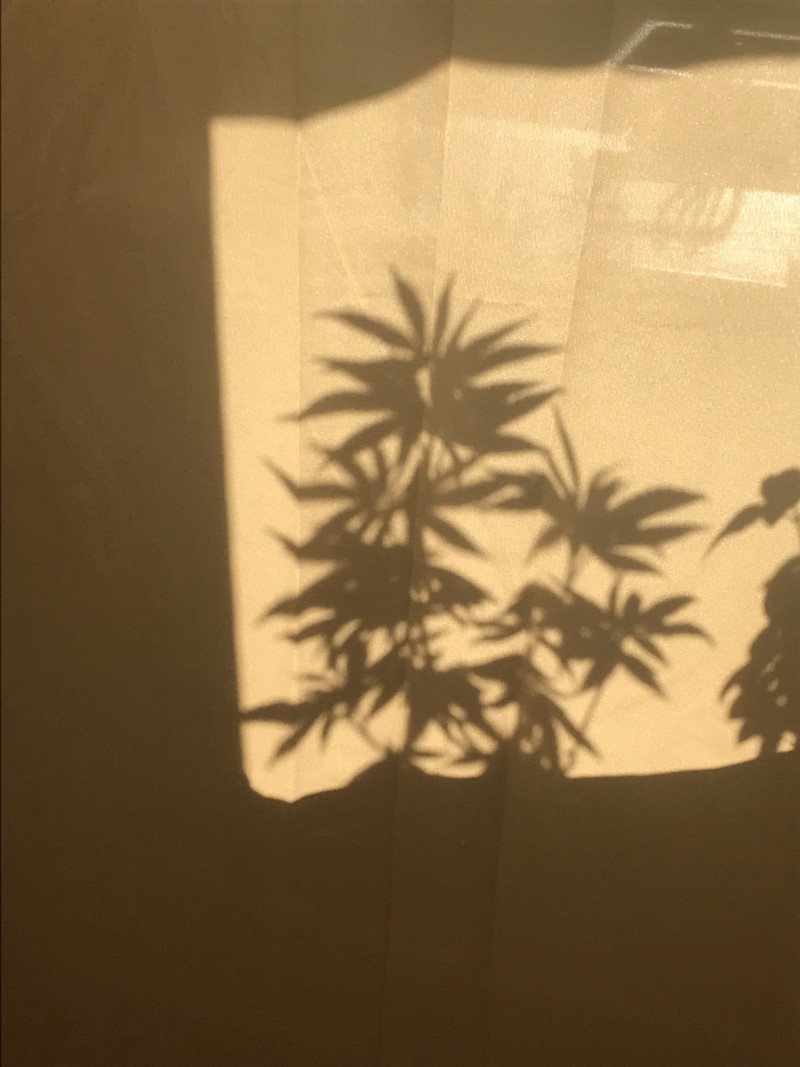 DF2BCF52-51A5-43CB-82E0-0BCF6E9EC714