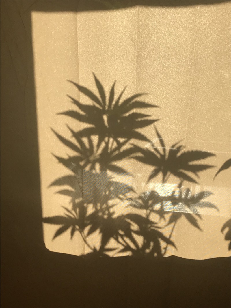 84828E65-13B7-42E4-95D3-D7EBF4D29F96