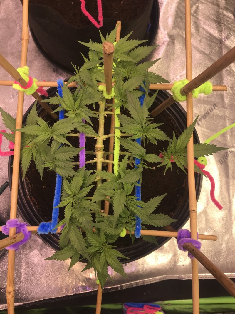 3E1DC027-50EE-4675-A8C7-B76CF5153756