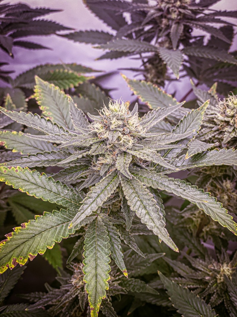 E26A008C-4E10-4994-8711-85FD2BBCBF90