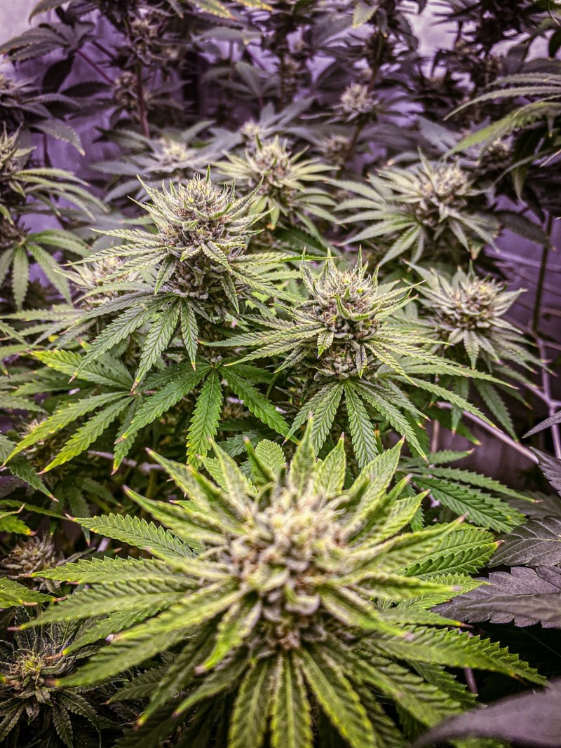 99567DB9-07A7-40F2-97D9-55B6EDC2662A