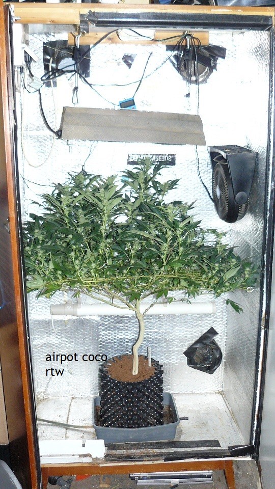 tangie vk cj 19 09 21 036