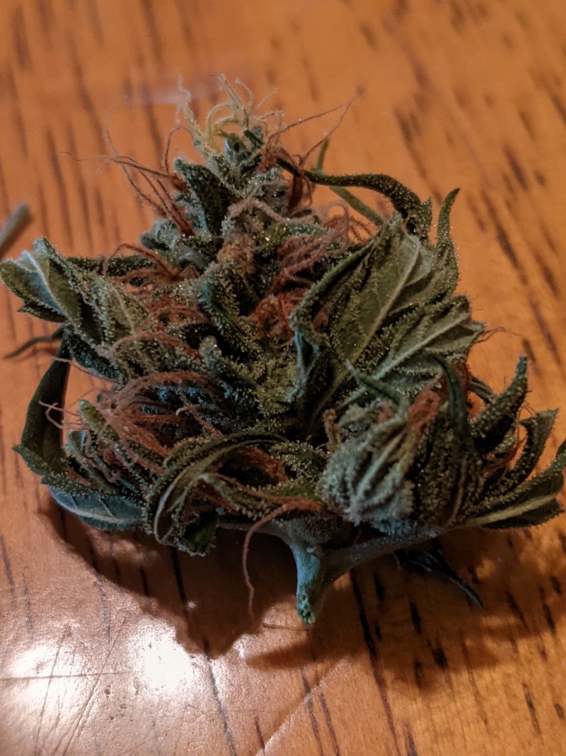 PXL_20210824_193348624