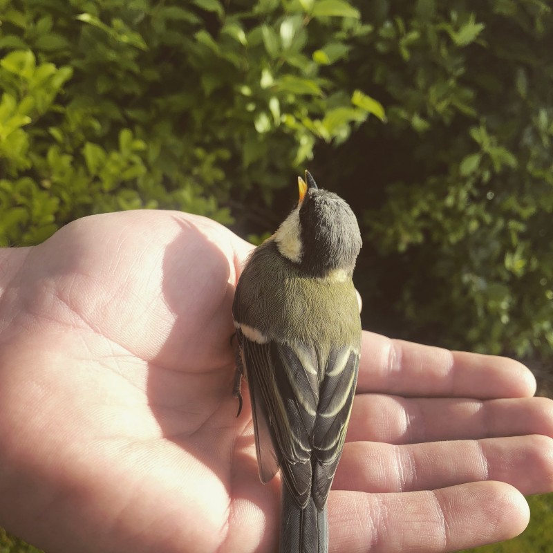 IMG_20180621_211622_306