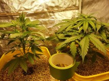 1632448530938120605126059526853