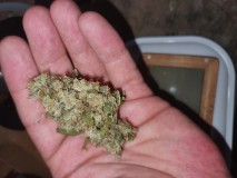 16325034262834252368347786418986