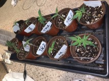 60893F82-B293-4494-84D1-320E24EE884B