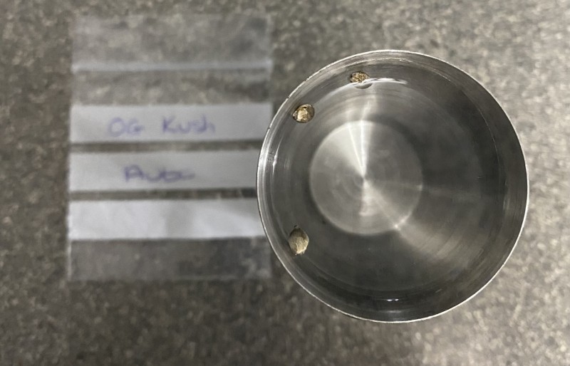 CC73DBA7-6F3D-4BDF-AA14-47D9A6115AA4