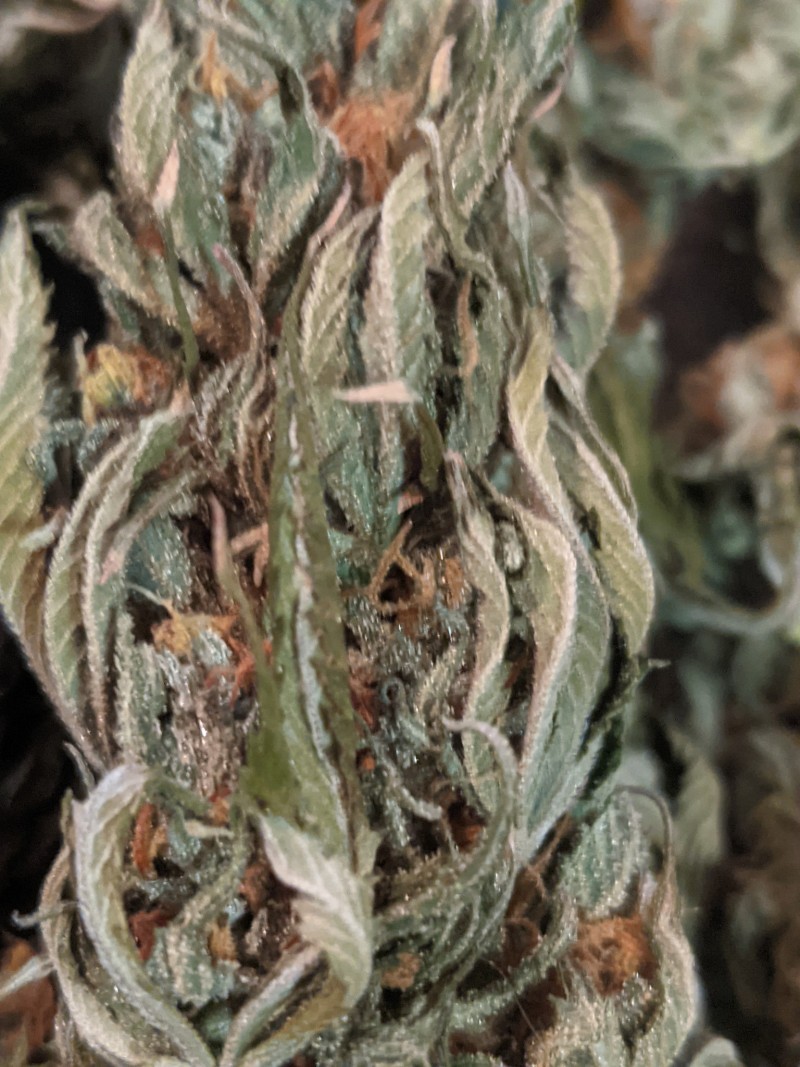 PXL_20210831_175103160