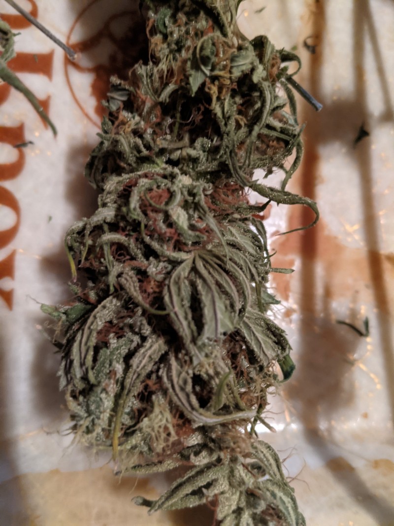 PXL_20210904_204927354