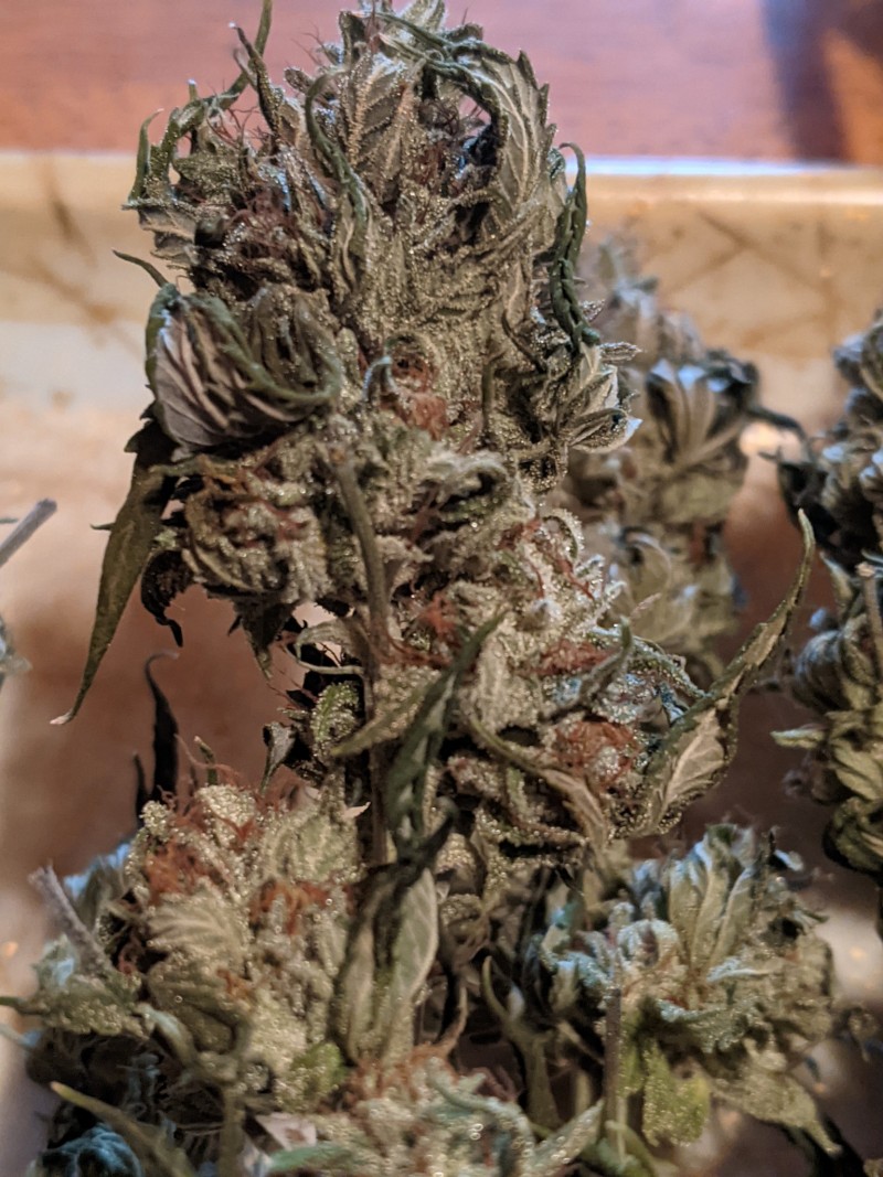 PXL_20210904_205134374