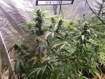 1632961181560434693006962511350