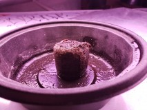 16333673328088070870502269186480