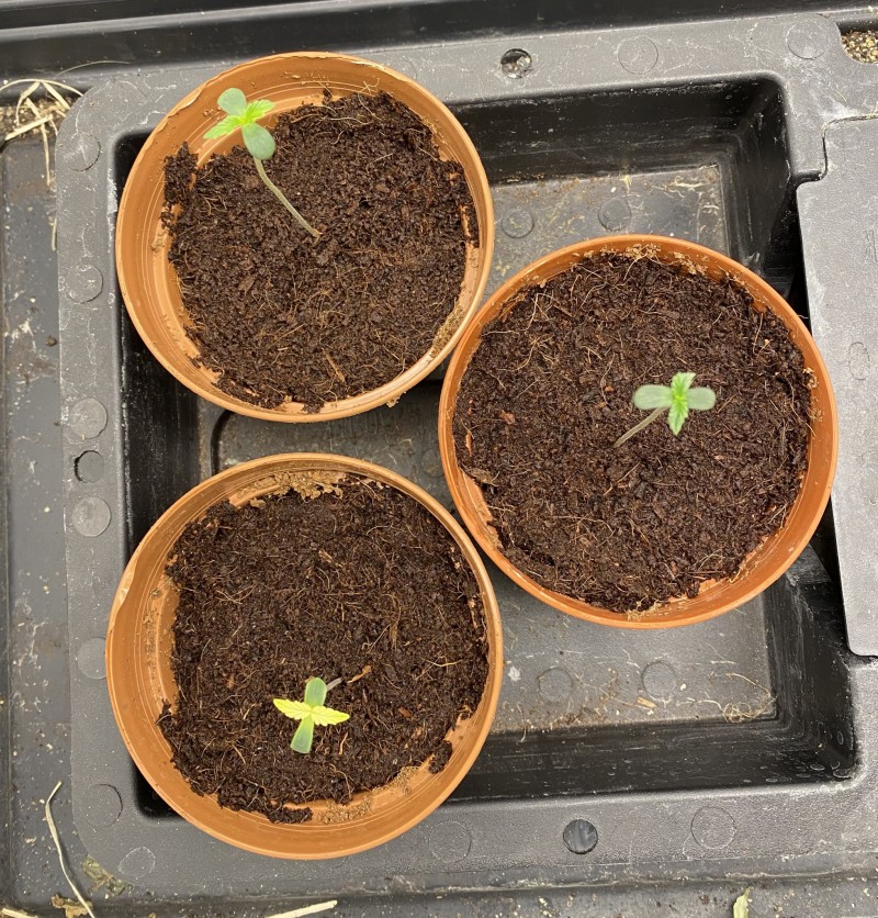 46780792-1DD1-47EF-8724-146FF699D714