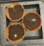 46780792-1DD1-47EF-8724-146FF699D714