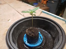 16340653311405606479001186333833