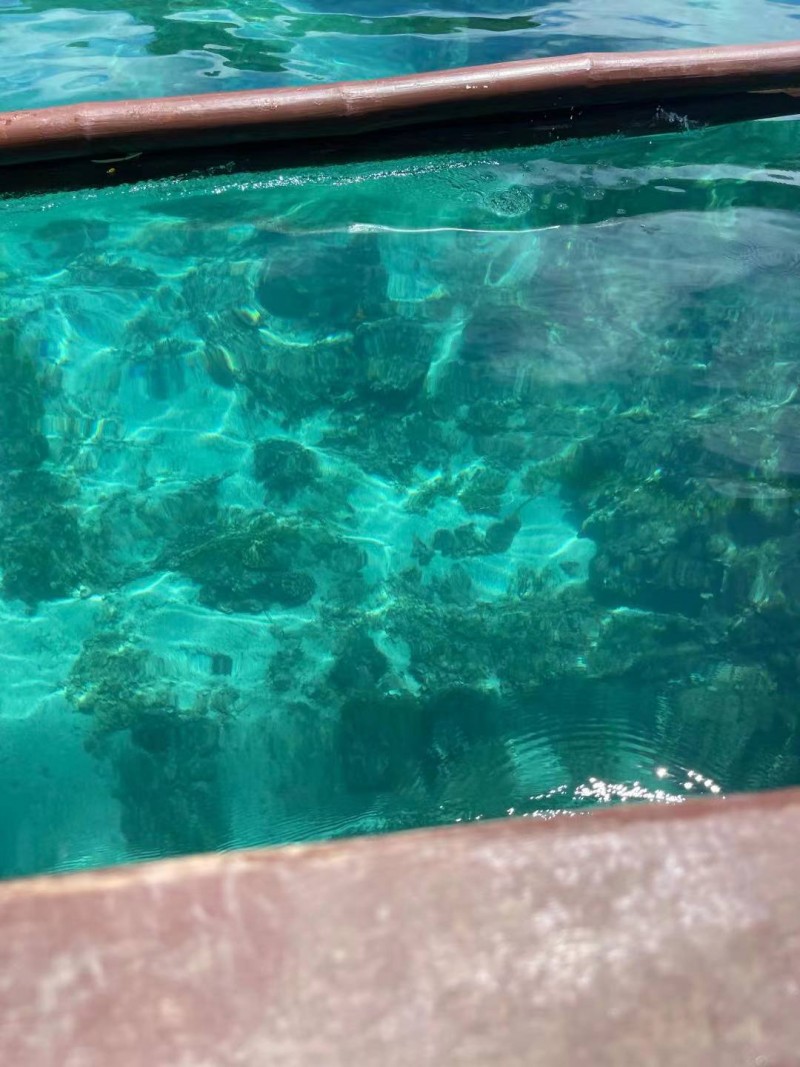 WeChat Image_202110151506385