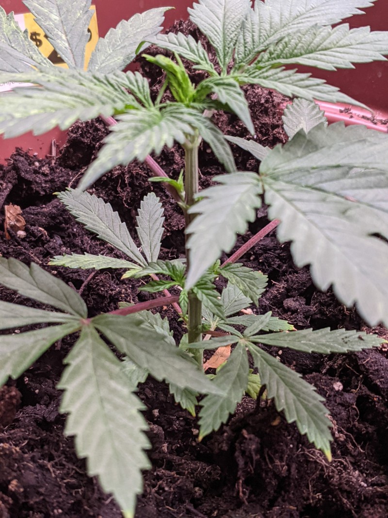 PXL_20211018_184458461