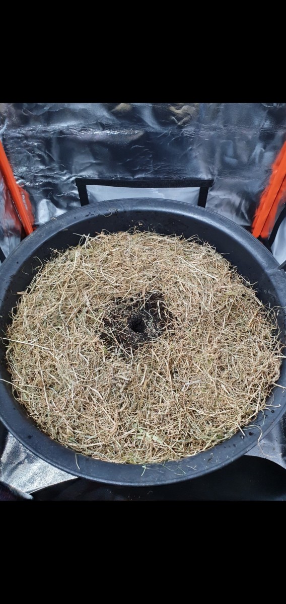 Screenshot_20211023-114016_Gallery