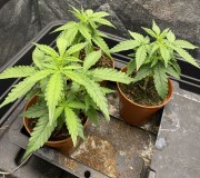 6C5B790A-906A-4763-B81D-CB450FDBD96C