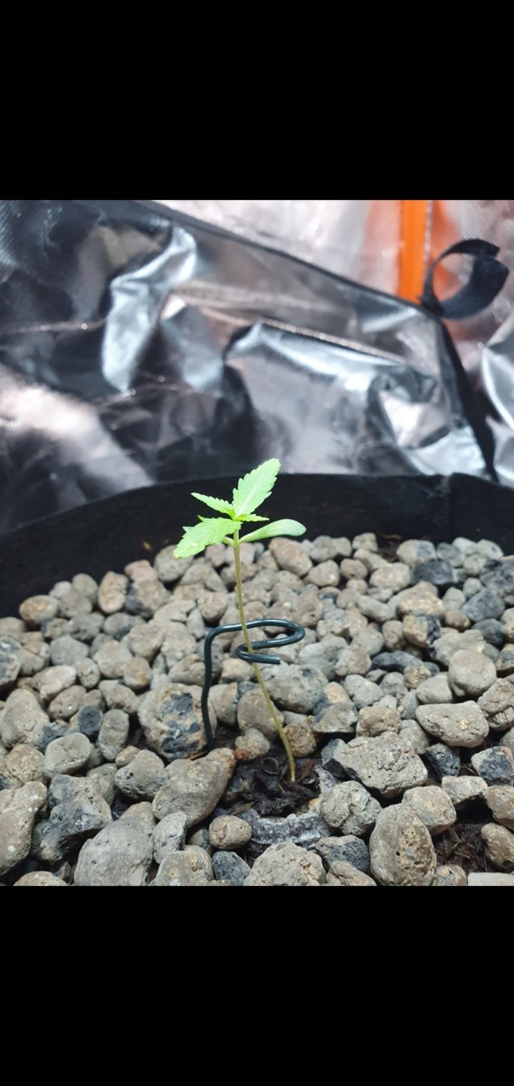 Screenshot_20211024-213106_Gallery