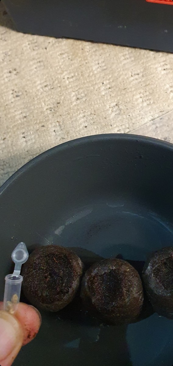 Screenshot_20211024-213029_Gallery