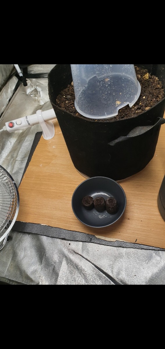 Screenshot_20211024-213013_Gallery