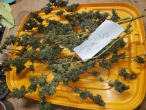 16351189671032475247150594920999