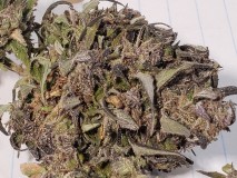 16351253941735587195816279845634