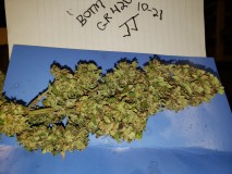 16351267704579011624770246435893