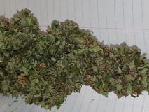 16351274945951195926528678010664