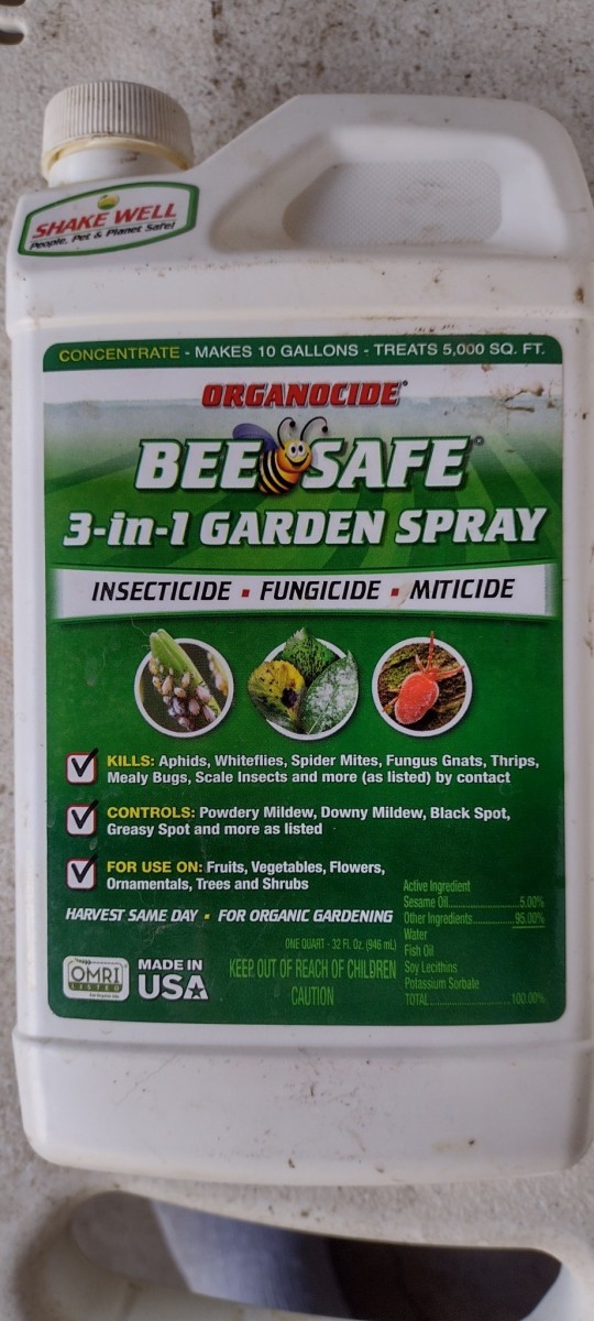 IMG_20211018_151036674_HDR