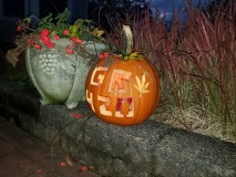 16354609025108052967581920694824