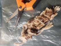 16355609521912589688794444144662