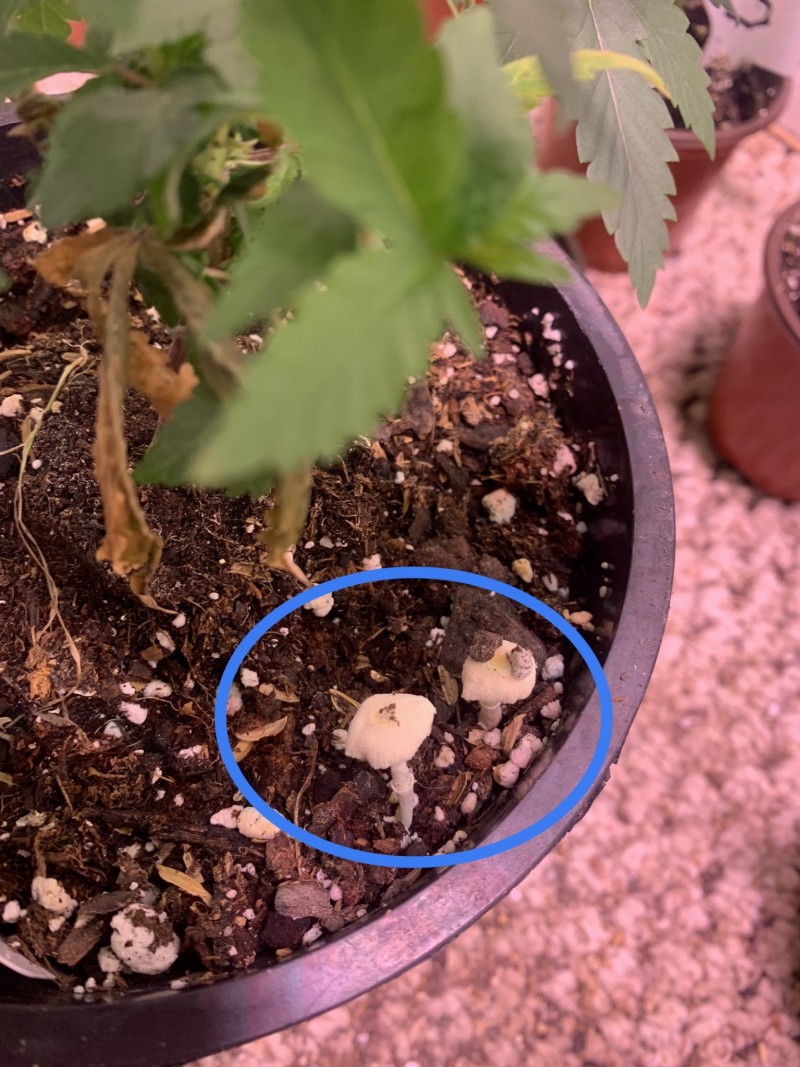 CD167E9B-BD82-4B19-AD97-B996AA74C7BA