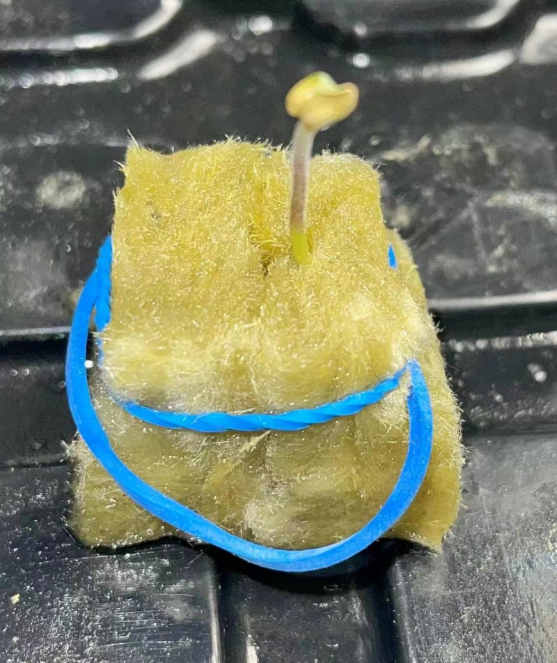 WeChat Image_20211101154306