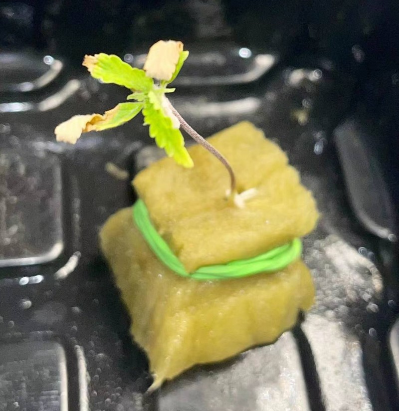 WeChat Image_20211101154345