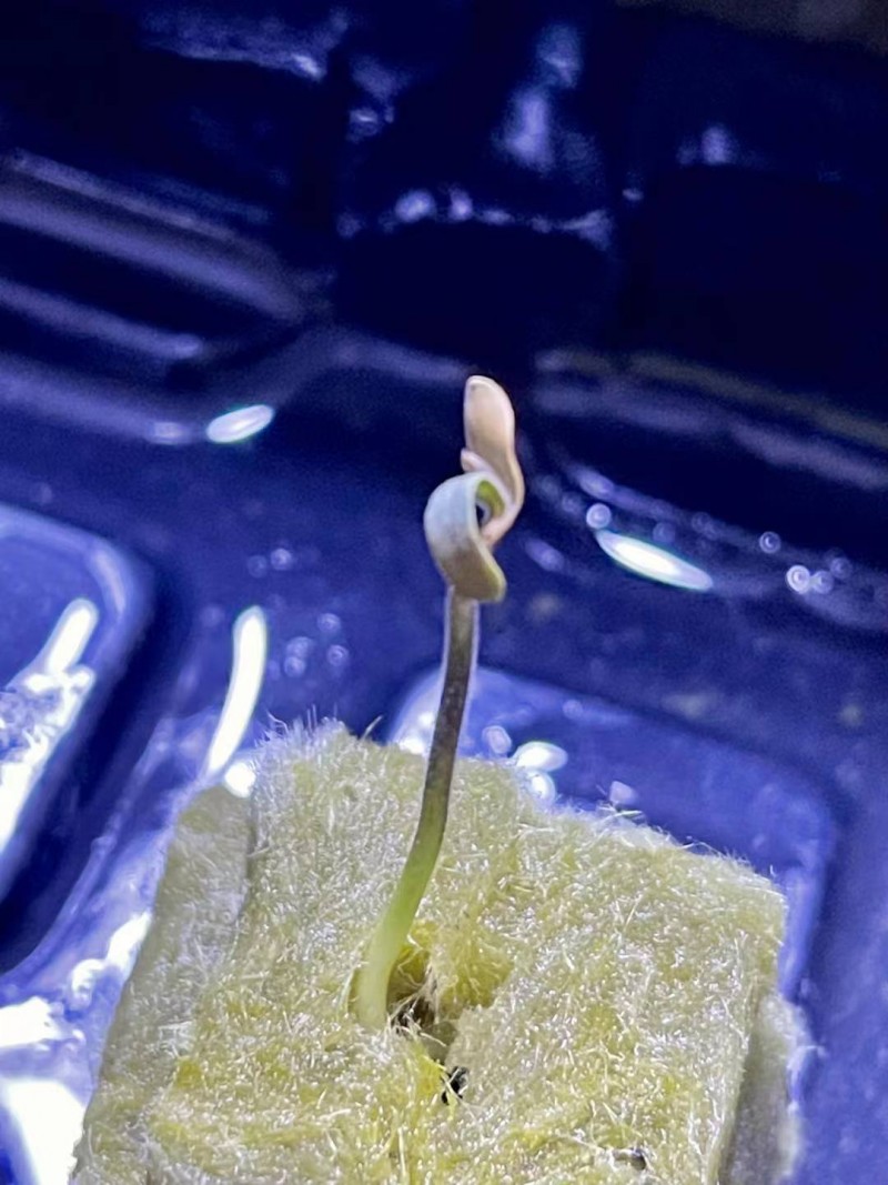 WeChat Image_20211102174537